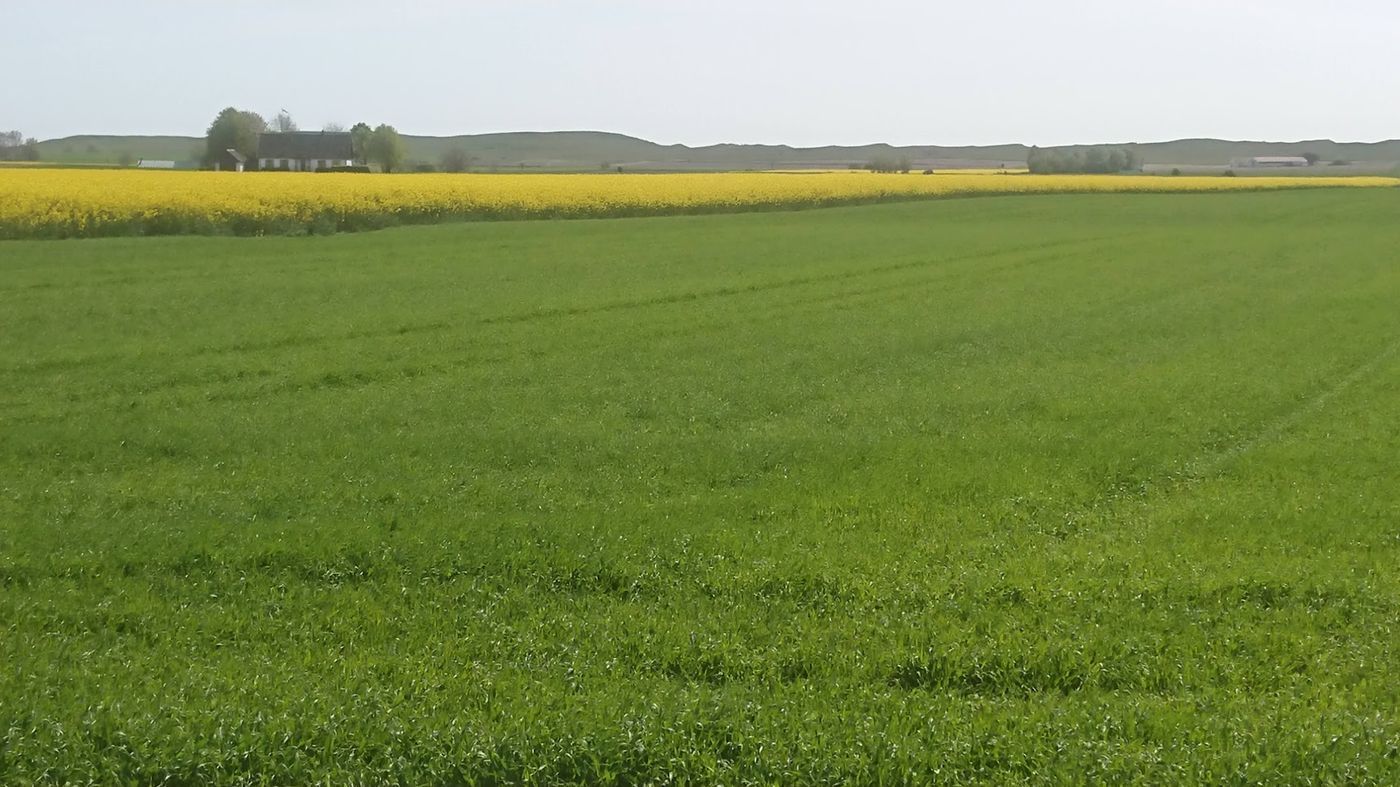 Stuga med 7 sängplatser i  Ingelstorp, Skåne