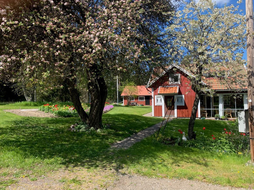 Stuga med 4-6 sängplatser i  Trosa, Södermanland