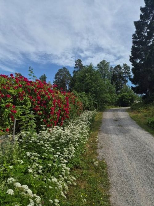 Stuga med 3-5 sängplatser i  Stockholm, Stockholm