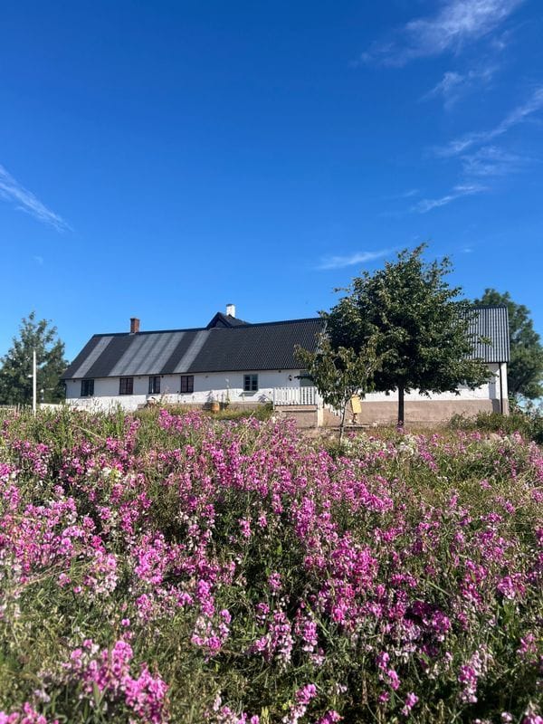 Stuga med 6 sängplatser i  Ystad, Skåne