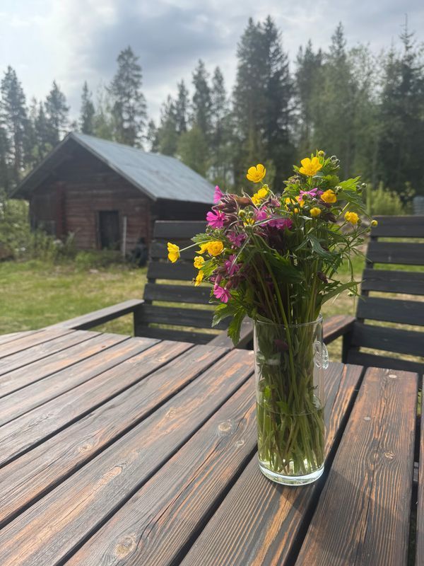 Stuga med 6-10 sängplatser i  Särna, Dalarna