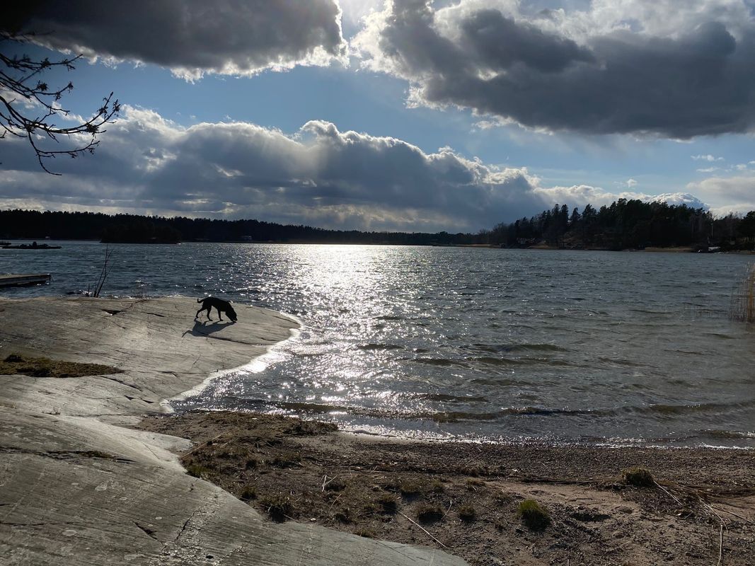Stuga med 10 sängplatser i  Värmdö, Stockholm