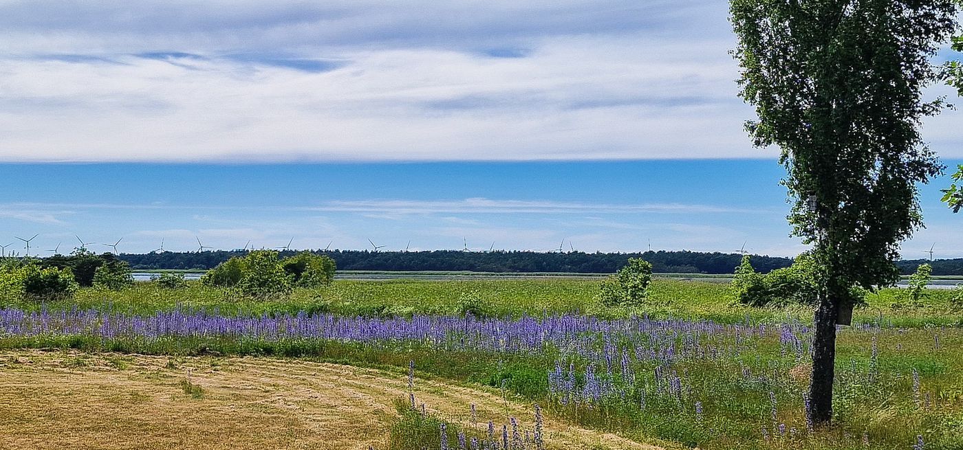 Stuga med 4 sängplatser i  Gotland