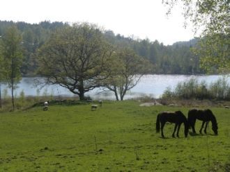 Stuga med 4-6 sängplatser i  Västra Götaland