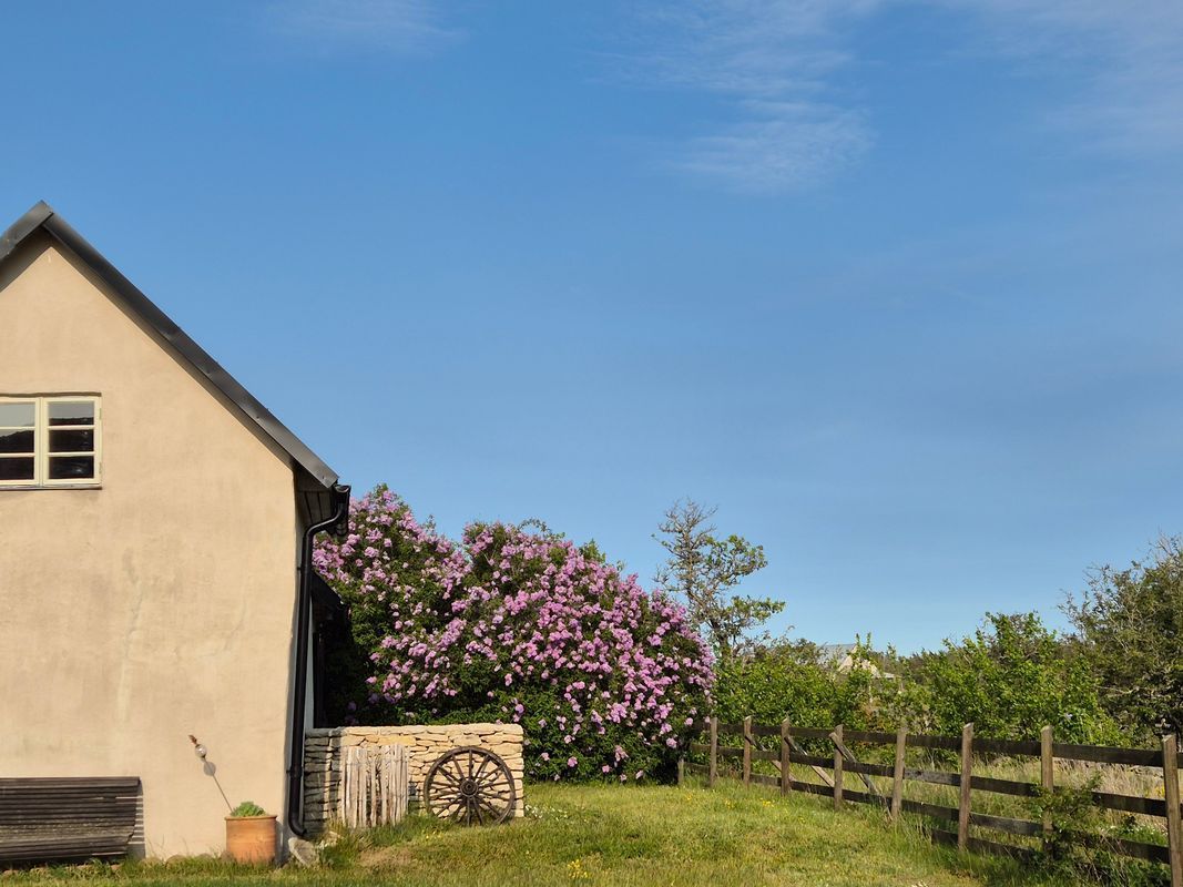 Stuga med 2-3 sängplatser i  Gotland