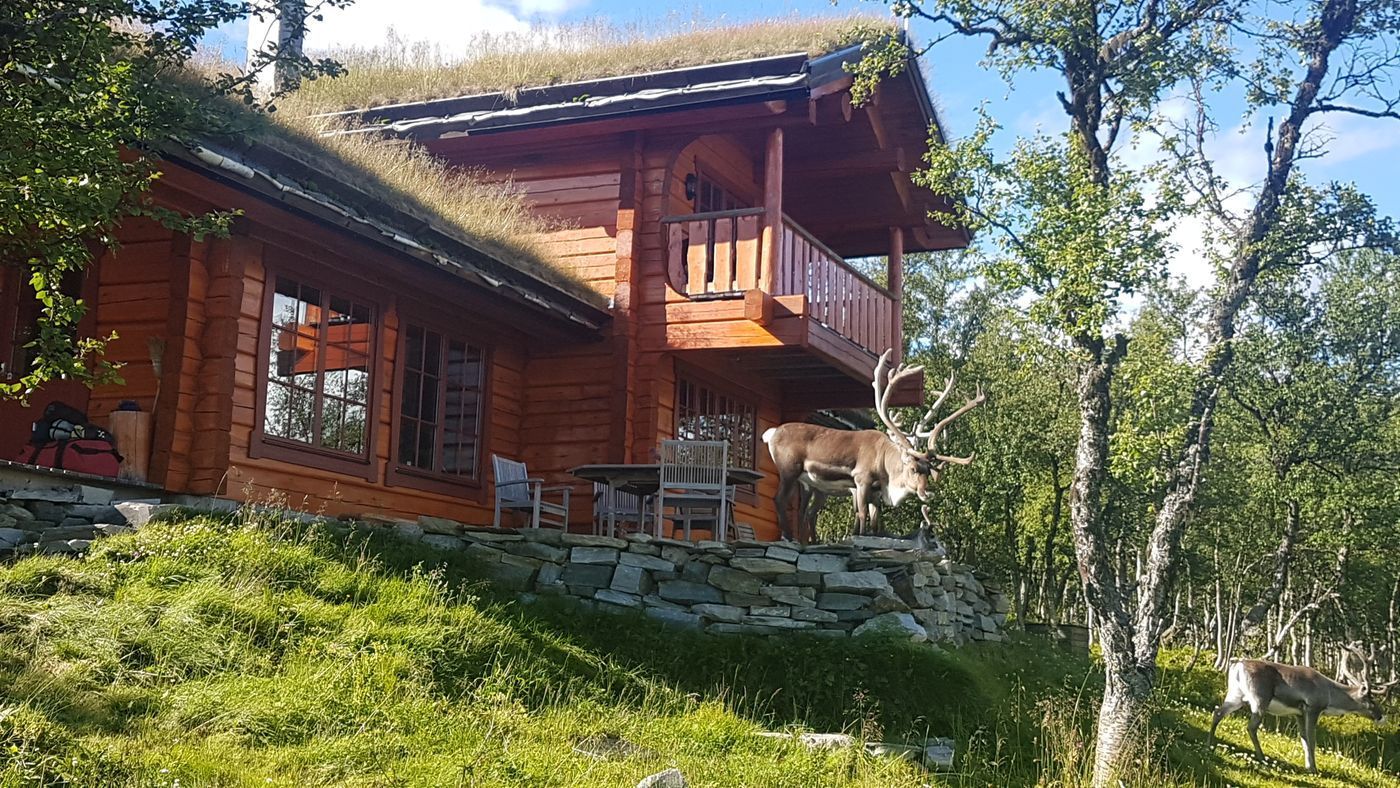 Stuga med 8-10 sängplatser i  Ljungdalen, Jämtland