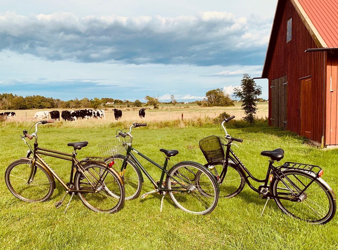 Stuga med 6-10 sängplatser i  Ardre, Gotland