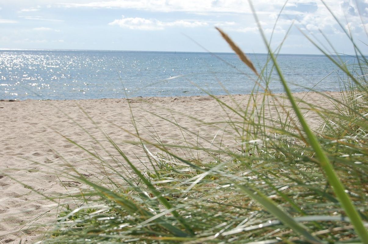 Stuga med 6-8 sängplatser i  Skåne