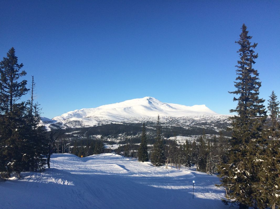 Stuga med 6 sängplatser i  Jämtland