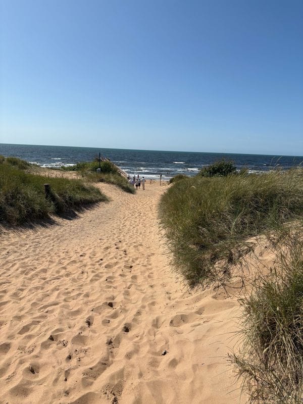 Stuga med 6 sängplatser i  Mellbystrand, Halland