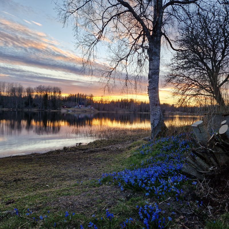 Stuga med 6 sängplatser i  Kristinehamn, Värmland