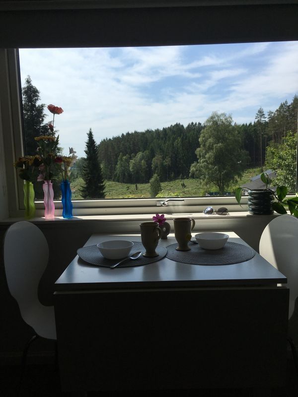Stuga med 2 sängplatser i  Kungsbacka, Halland