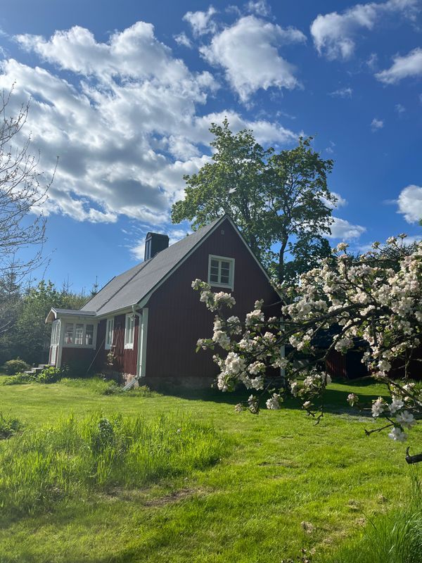 Stuga med 6-8 sängplatser i  Ljungbyhed, Skåne