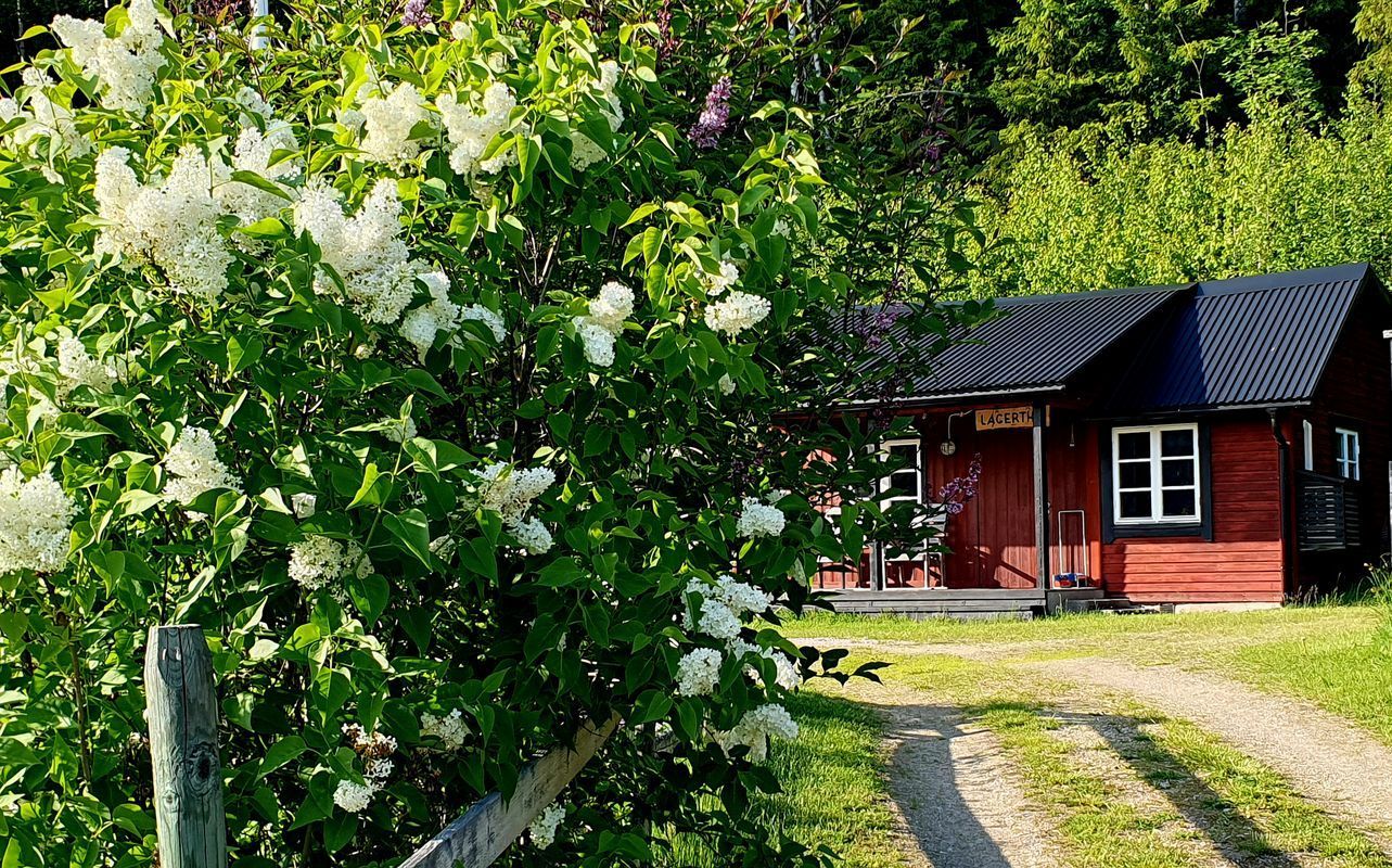 Stuga med 4 sängplatser i  Höljes, Värmland