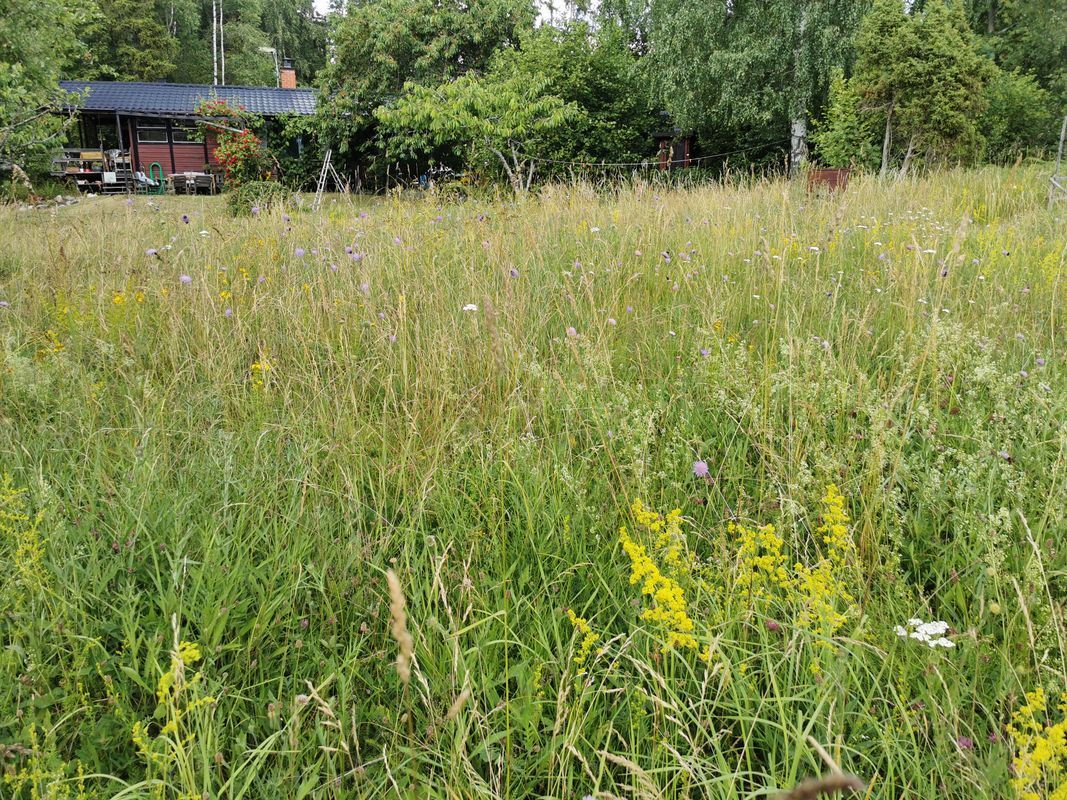 Stuga med 4 sängplatser i  Rådmansö, Stockholm