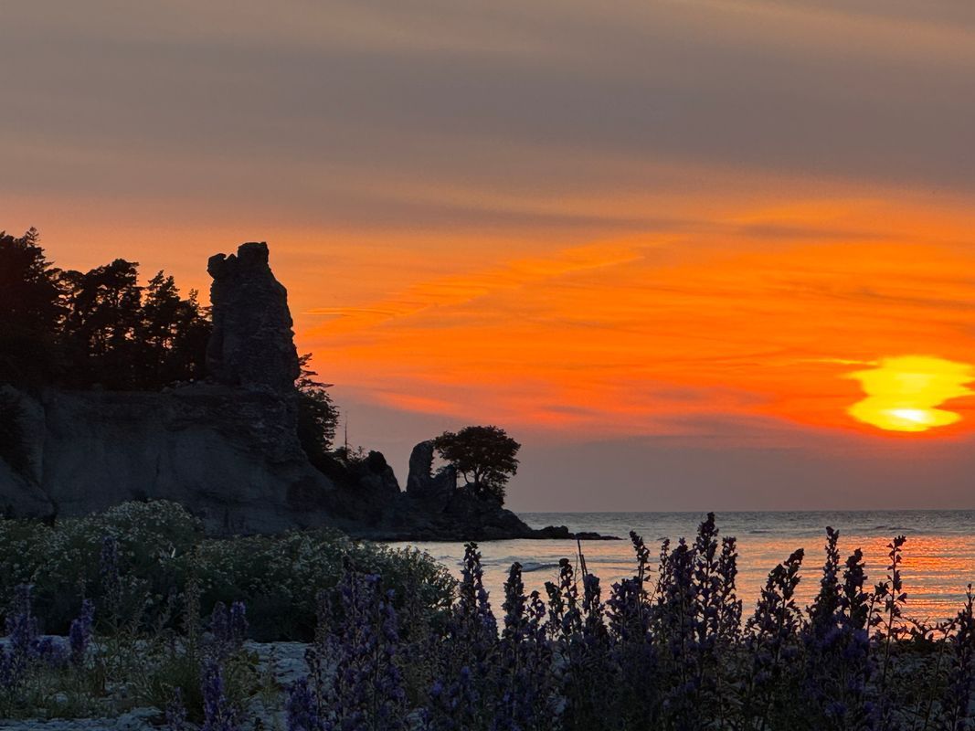 Stuga med 6 sängplatser i  Lickershamn, Gotland