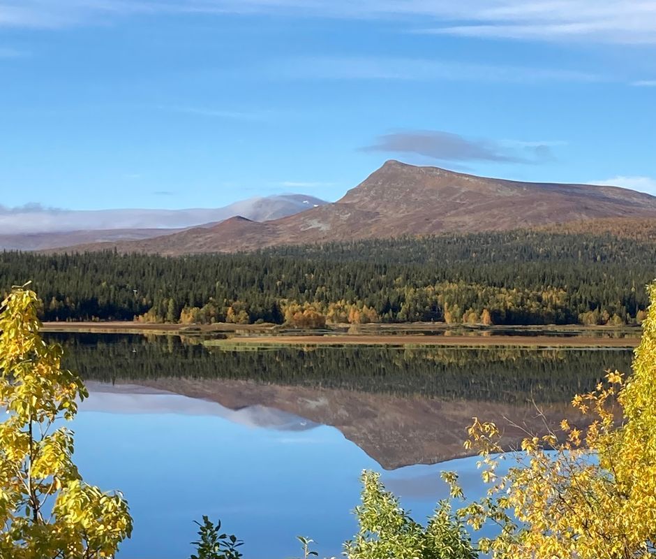 Stuga med 4-6 sängplatser i  Västerbotten