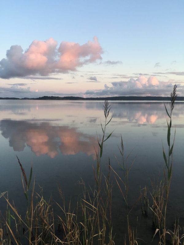Stuga med 2-3 sängplatser i  Svanesund, Västra Götaland