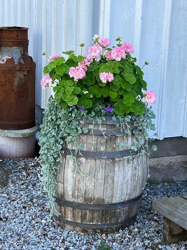 Stuga med 6 sängplatser i  Västra Götaland