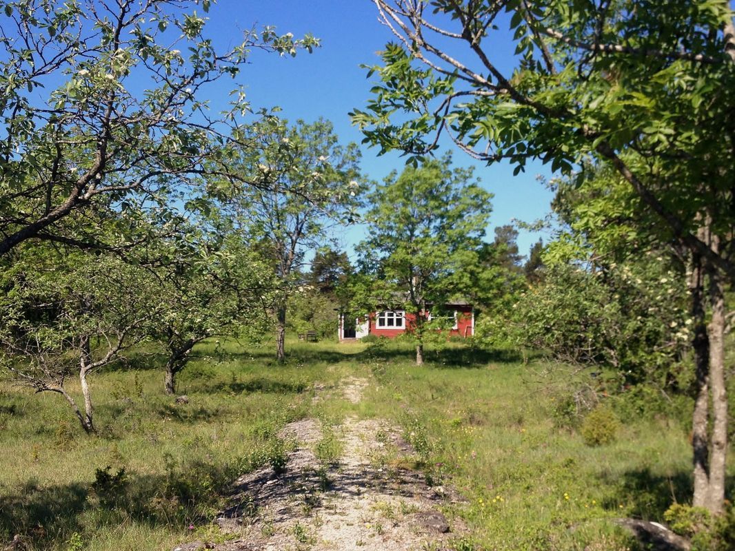 Stuga med 3-6 sängplatser i  Rute, Gotland