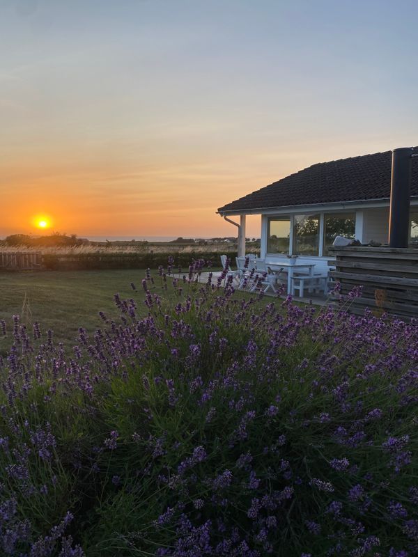 Stuga med 8 sängplatser i  Torekov, Skåne