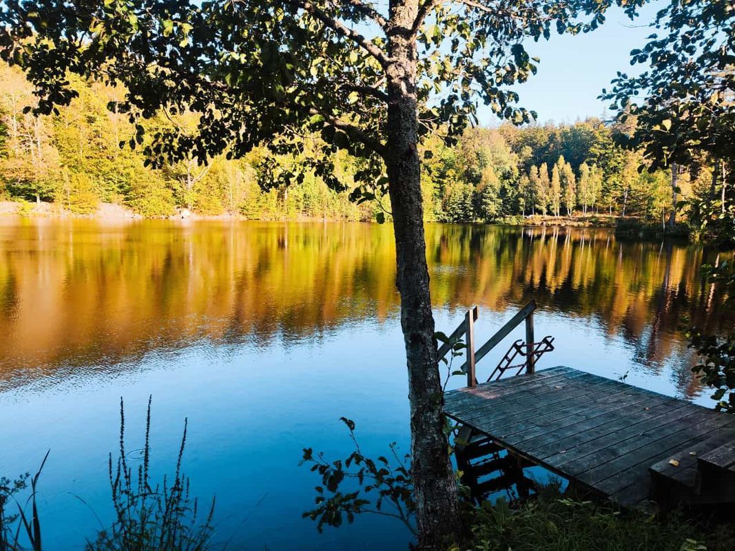 Stuga med 5 sängplatser i  Blekinge