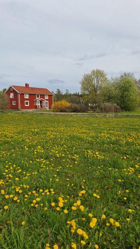 Stuga med 6 sängplatser i  Tingsryd, Kronoberg