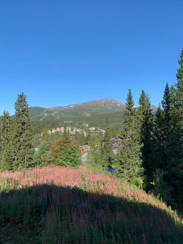 Stuga med 6 sängplatser i  Åre, Jämtland