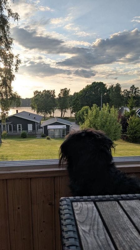 Stuga med 8 sängplatser i  Bolmen, Kronoberg