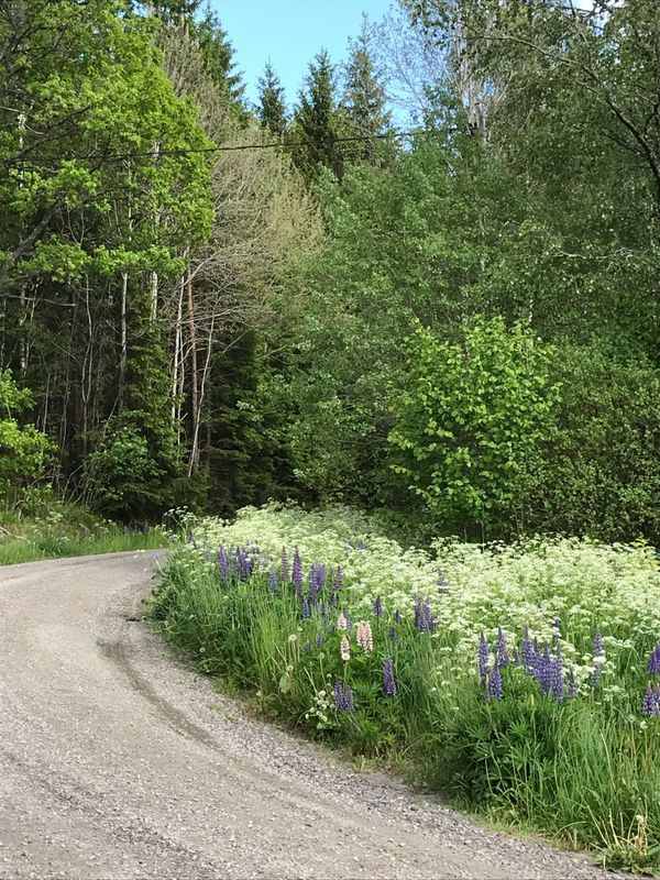 Stuga med 4-6 sängplatser i  Burseryd, Jönköping