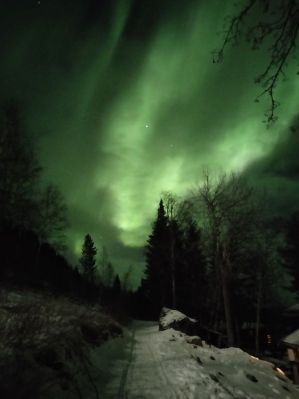 Stuga med 4 sängplatser i  Tännäs, Jämtland
