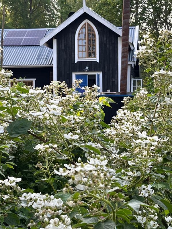 Stuga med 4-5 sängplatser i  Katrineholm, Södermanland