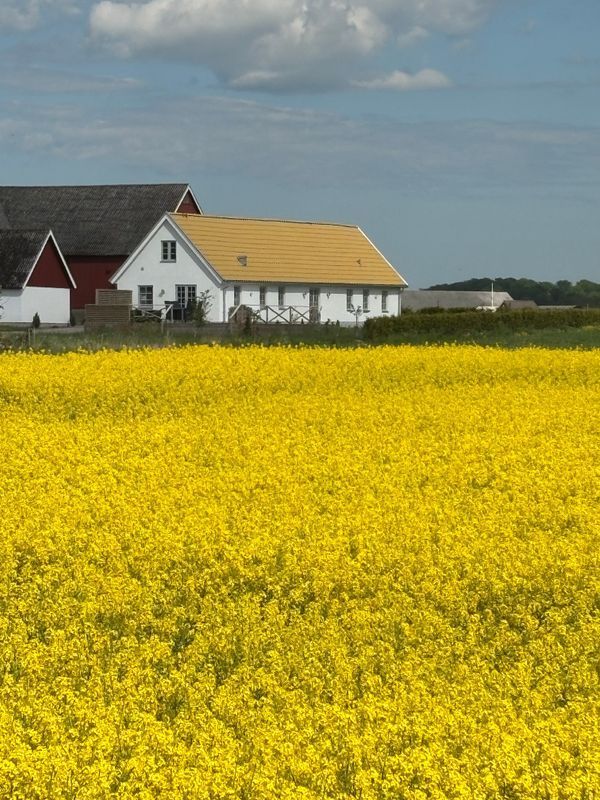 Stuga med 6-7 sängplatser i  Lövestad, Skåne