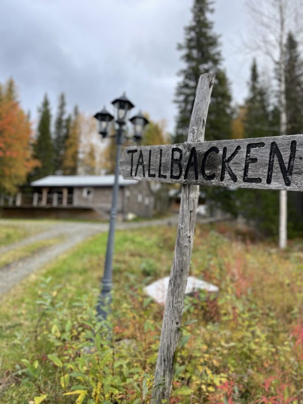 Stuga med 12 sängplatser i  Borgafjäll, Västerbotten