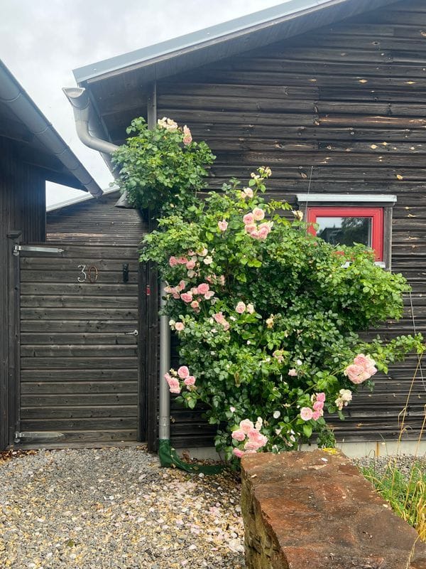 Stuga med 7-9 sängplatser i  Gotland, Gotland