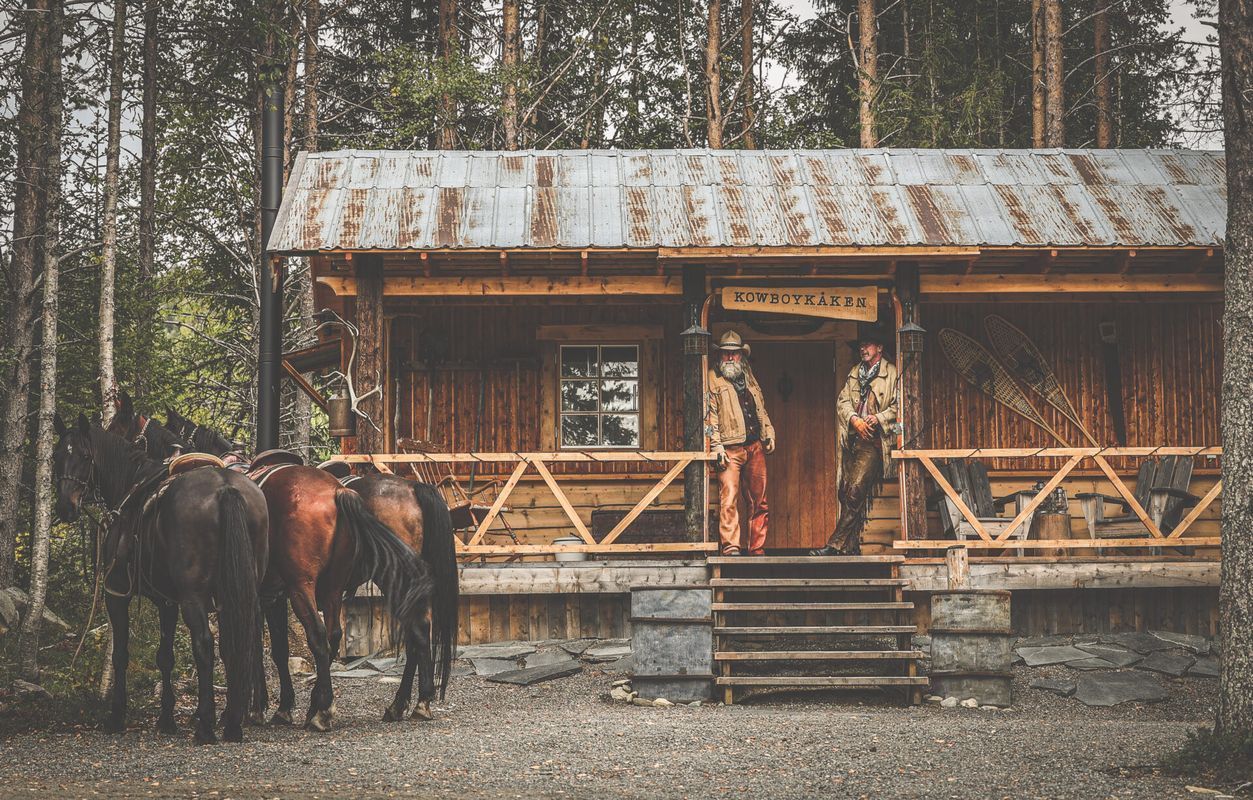 Stuga med 6-8 sängplatser i  Borgafjäll, Västerbotten