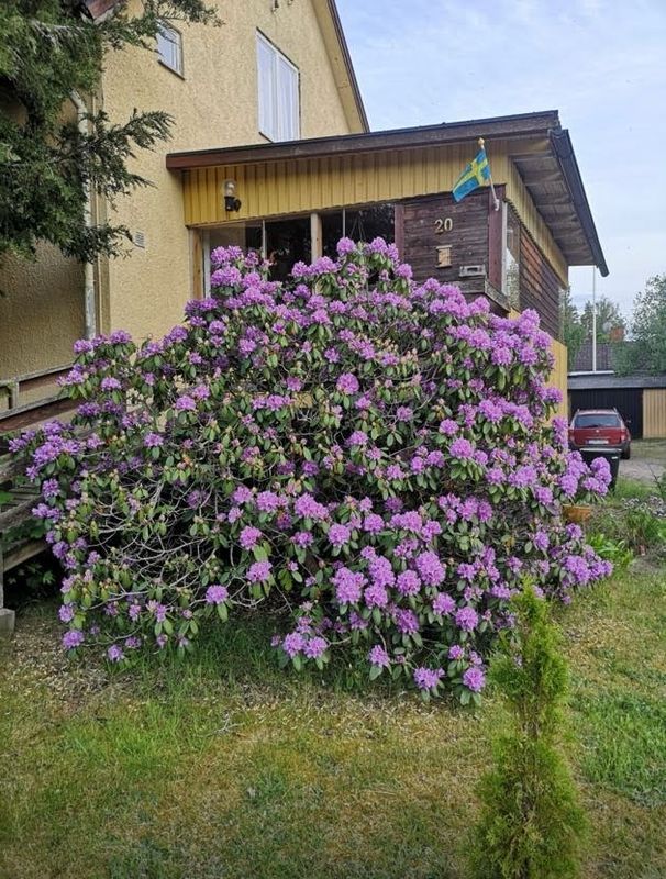 Stuga med 5-6 sängplatser i  Kalmar
