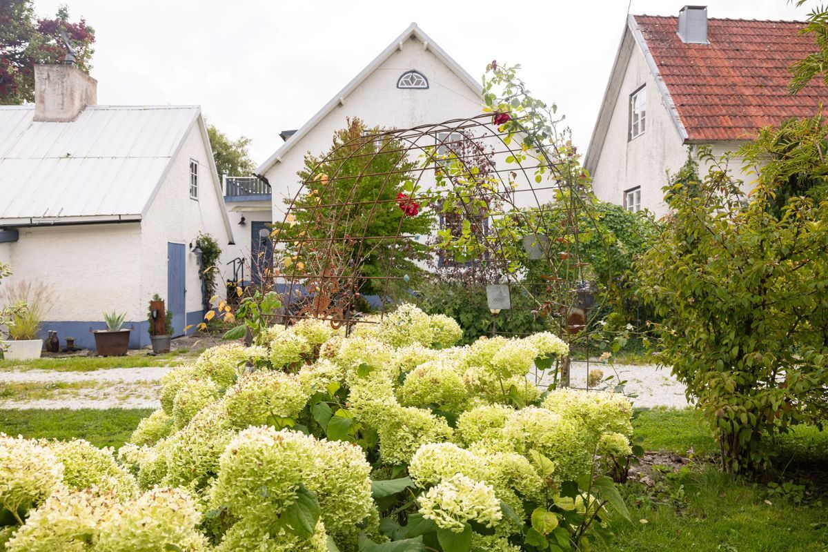 Stuga med 3 sängplatser i  Gotland