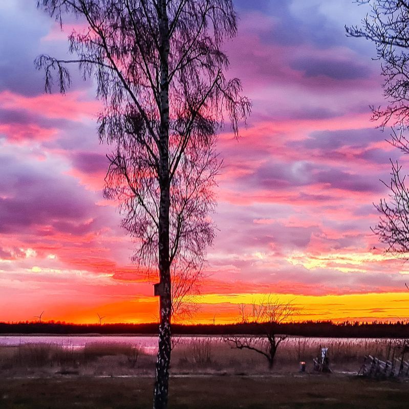 Stuga med 4 sängplatser i  Gotland