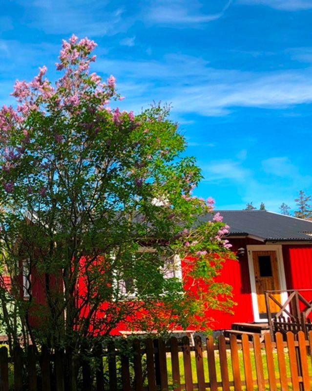 Stuga med 5-6 sängplatser i  Visby, Gotland