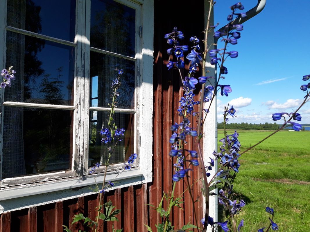 Stuga med 2 sängplatser i  Luleå, Norrbotten