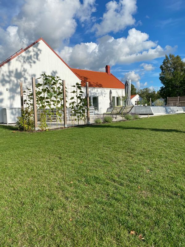 Stuga med 12 sängplatser i  Tofta, Gotland