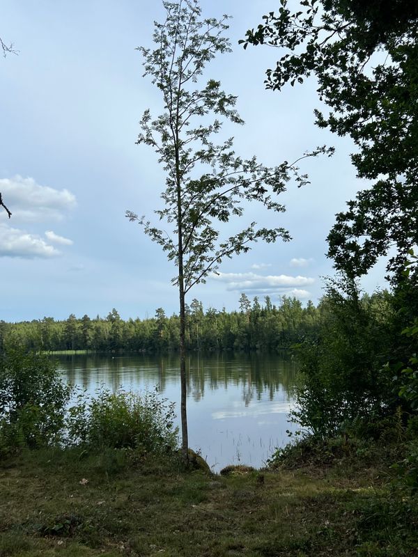 Stuga med 8 sängplatser i  Eksjö, Jönköping