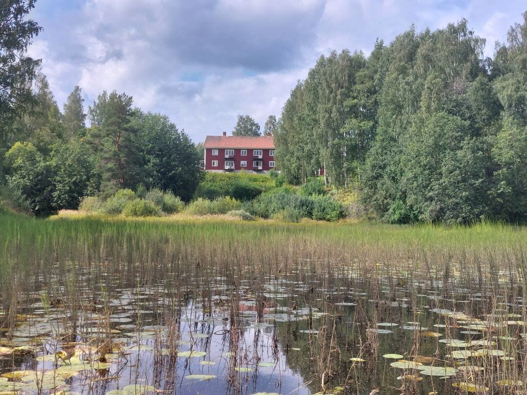 Stuga med 1 sängplatser i  Edsbyn, Gävleborg