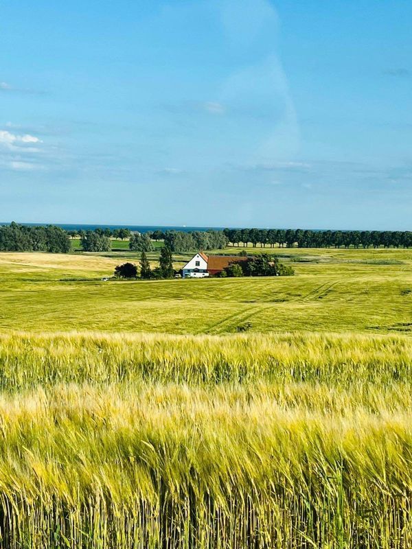 Stuga med 10 sängplatser i  Ystad, Skåne
