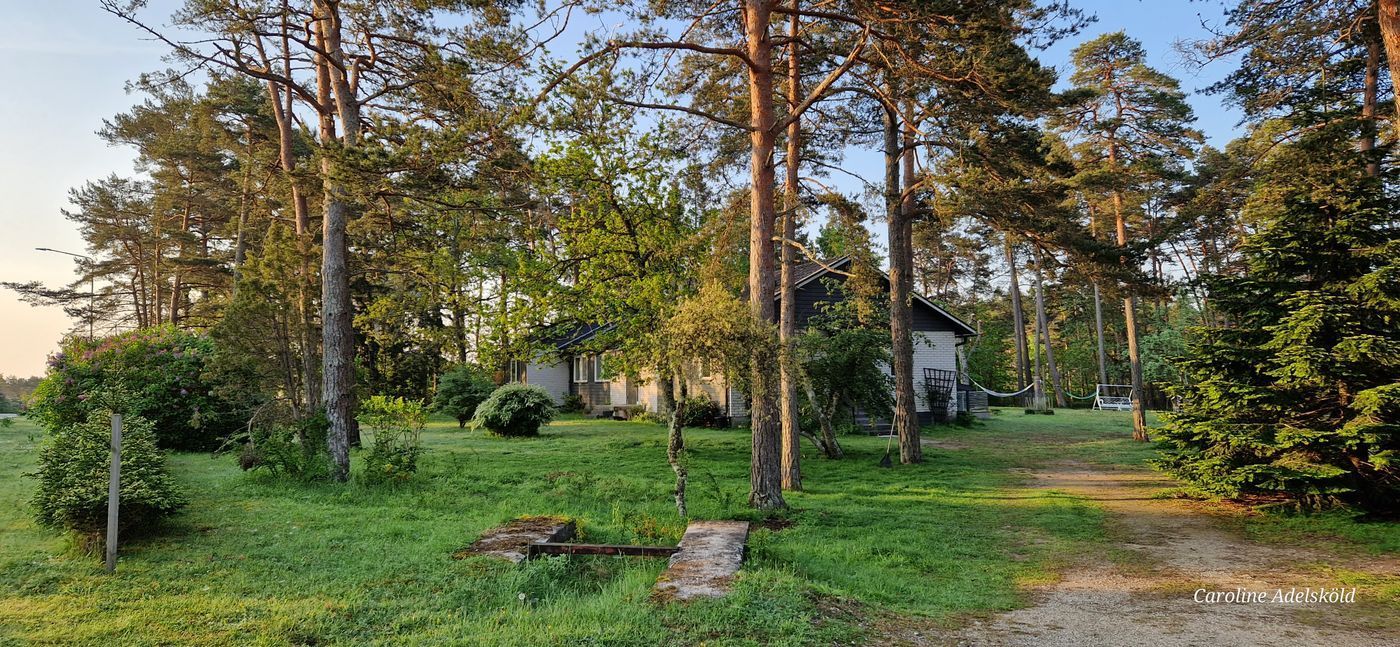 Stuga med 8 sängplatser i  Gotland, Gotland