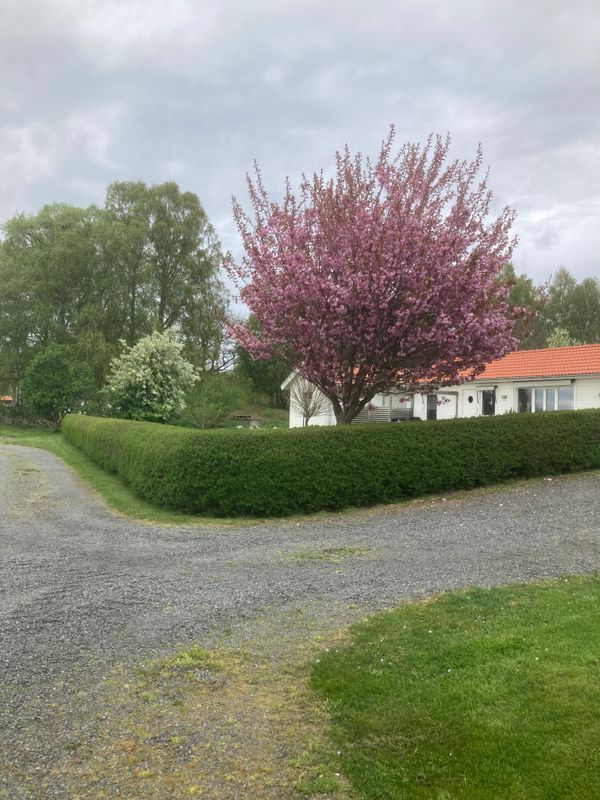 Stuga med 6 sängplatser i  Skåne