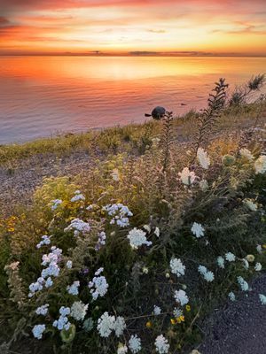 Böda, Byxelkrok, Grankullavik 50m till bad / havet - Bild 13
