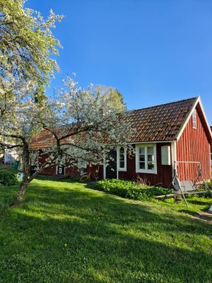 Framsida med trädgård