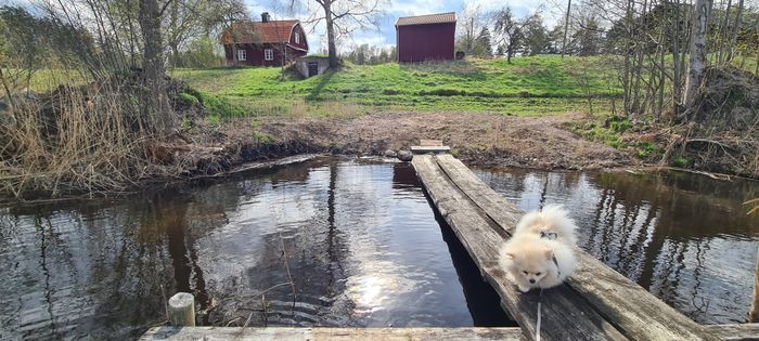Mysig avskild stuga med fanstastisk sjöutsikt - Bild 25